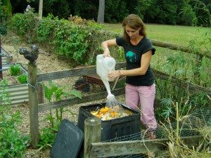 adding food scraps and water