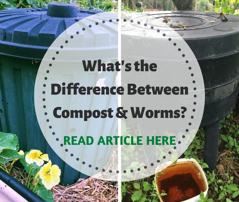 What’s the difference between Composting and Worms Farms?