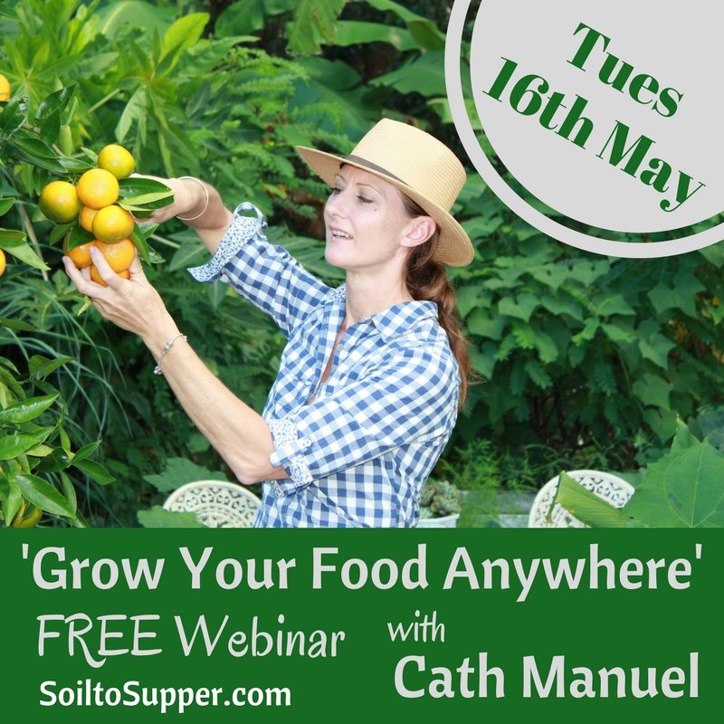 ‘Grow Your Food Anywhere’ FREE Webinar with Cath Manuel