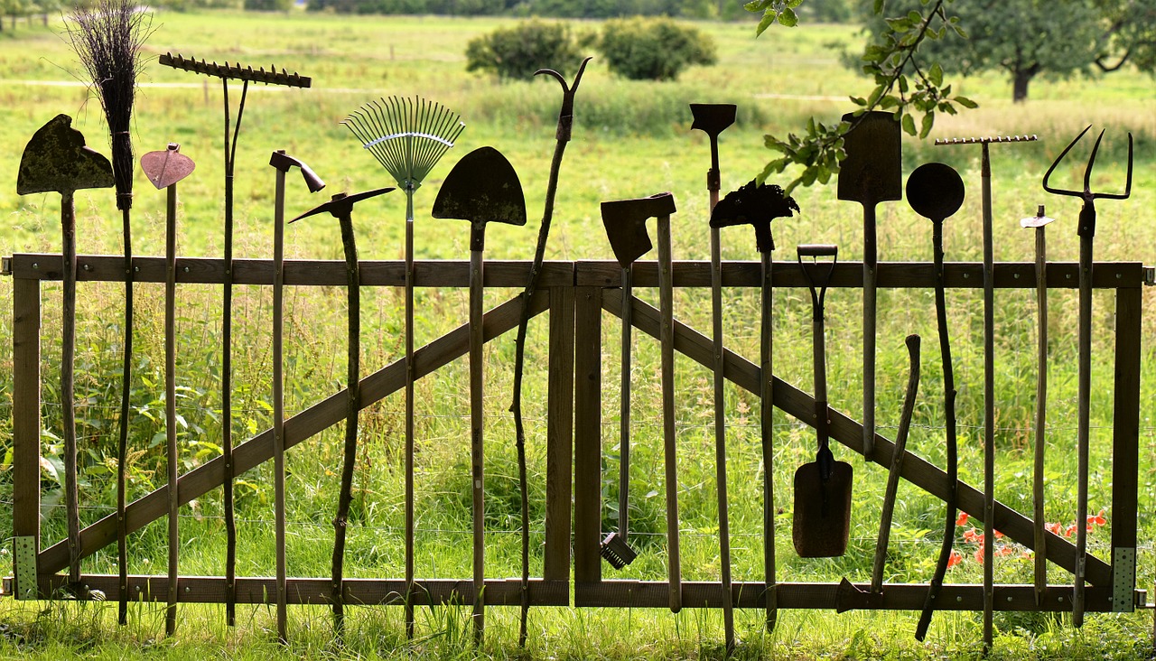 5 Ways to Maintain your Gardening Tools and Equipment