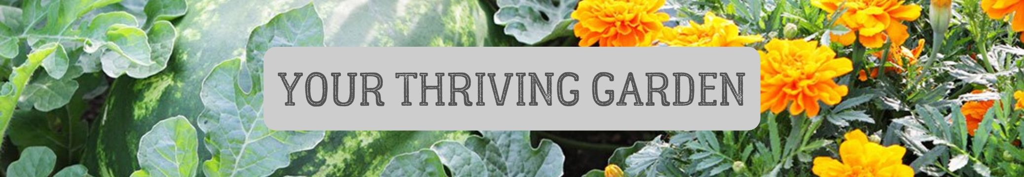 Your Thriving Garden | Soil to Supper