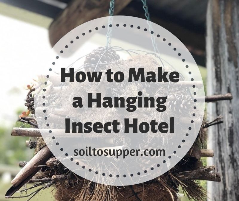 How to Make a Hanging Insect Hotel