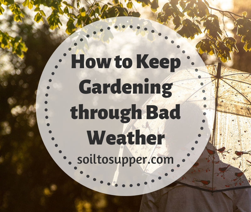 How to Keep Gardening through Bad Weather