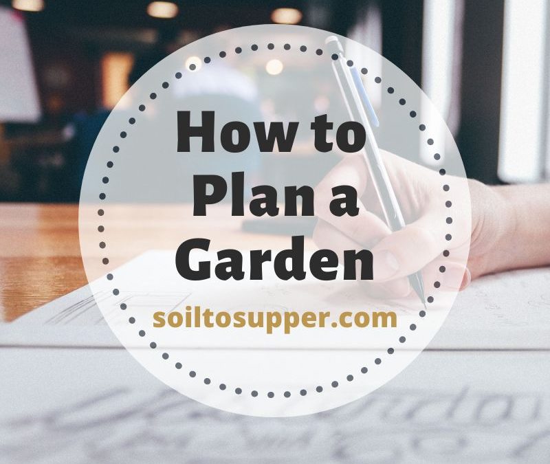 How to Plan a Garden