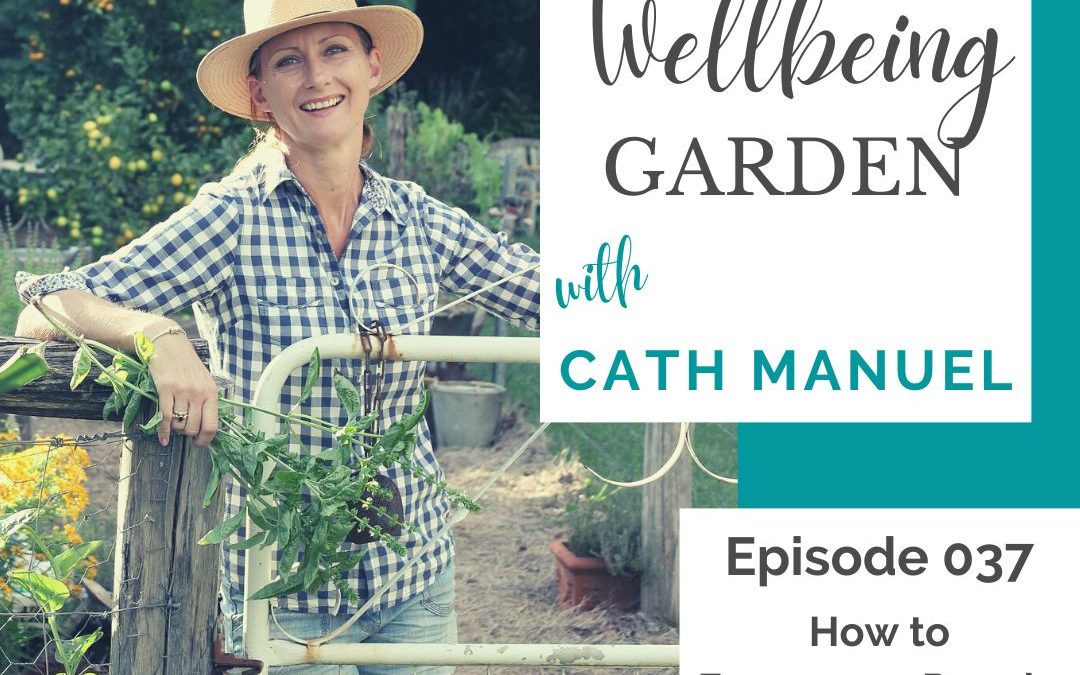 Episode 037 – How to Encourage People to the Garden