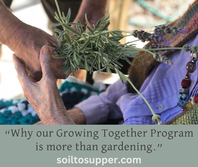 Cultivating Connections: Why our Growing Together Program is more than gardening.